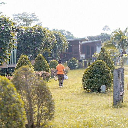 Chiewlan Camp And Resort Ban Pha Saeng Lang Eksteriør bilde